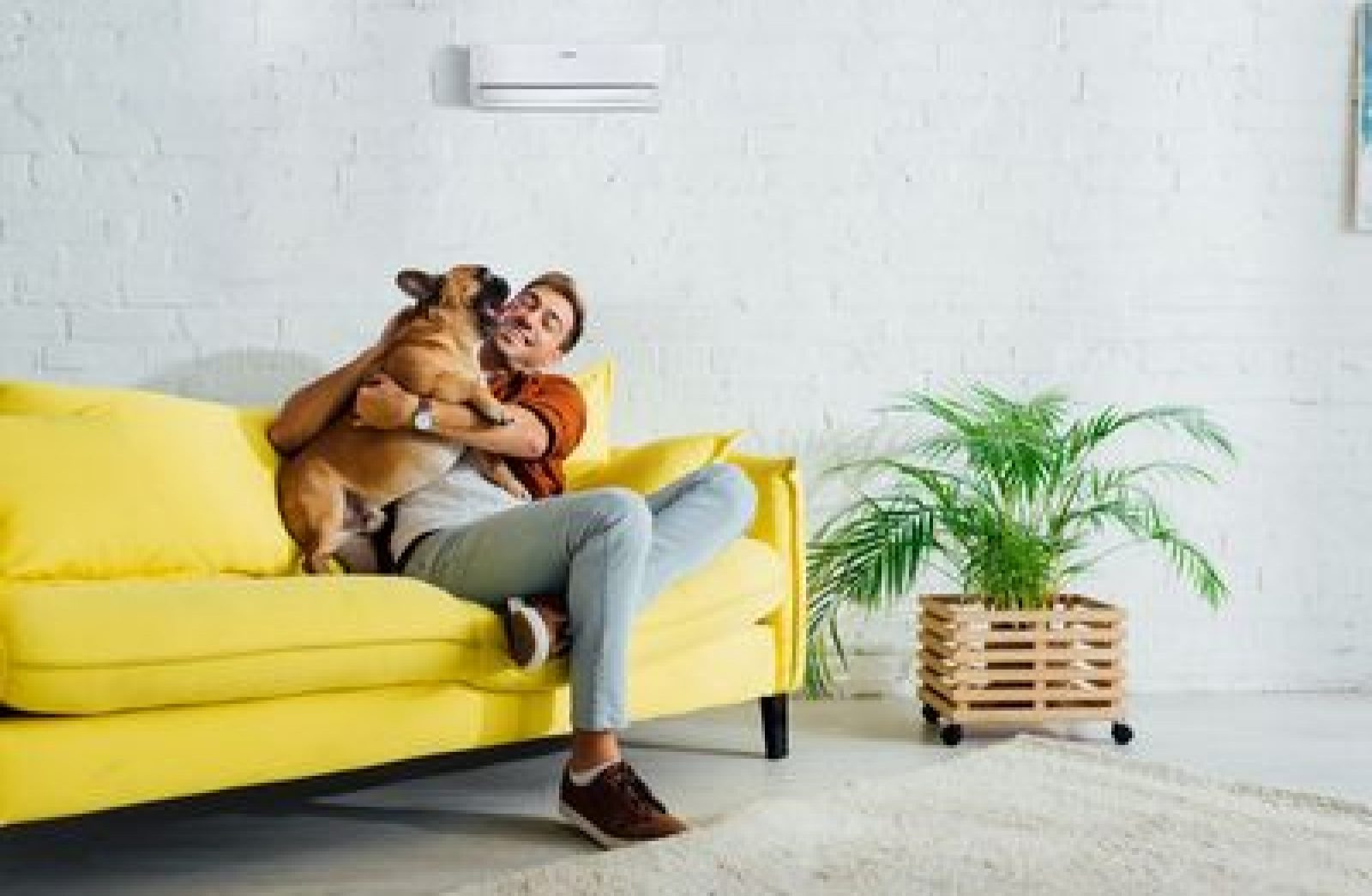 Happy man playing with french bulldog on sofa in living room